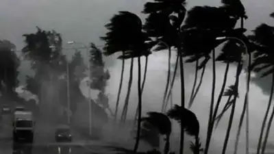 সকাল ৯টার মধ্যে ঝড় হতে পারে যেসব অঞ্চলে: ত্রাণমন্ত্রী