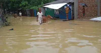বাঁশখালীতে বন্যায় তৃতীয় শিশুর মৃত্যু, ১২ বছর বয়সী তাহিন নুরের লাশ উদ্ধার