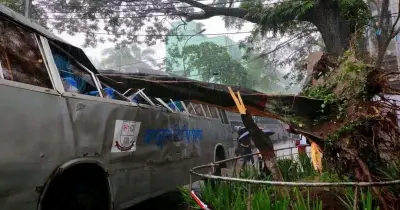 জগন্নাথ বিশ্ববিদ্যালয়ে গাছ ভেঙে বাসের ওপর পড়ে, ক্ষতি ৩-৪ লাখ টাকা