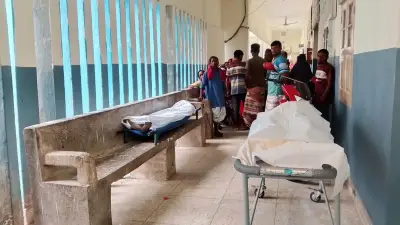 নীলফামারীতে বিদ্যুৎস্পৃষ্ট হয়ে দুই বিদ্যুৎ শ্রমিকের মৃত্যু