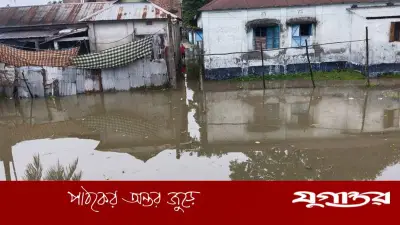 মুক্তাগাছায় জলাবদ্ধতায় পাঁচ শতাধিক পরিবার ভোগান্তিতে, দায়ী অপরিকল্পিত ড্রেনেজ