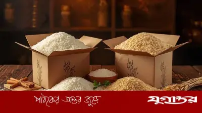ডায়াবেটিস রোগীর জন্য আতপ নাকি সেদ্ধ চাল ভালো? পুষ্টিবিদের মতামত