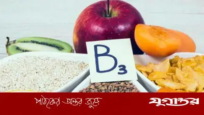 ভিটামিন বি-৩: প্রতিদিনের খাদ্যতালিকায় কেন রাখবেন?