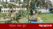 বরিশালে এক গাছে ১০ জাতের আম, গবেষণা চলছে ২০ জাতের