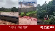 মহারাষ্ট্রে বন্যায় প্ল্যান্ট থেকে ভেসে গেল ৩ হাজার গ্যাস সিলিন্ডার