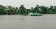 বন্যায় সাত জেলায় ৫১ জনের মৃত্যু, ক্ষতিগ্রস্ত ১০ লাখের বেশি