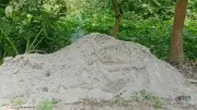 কবরস্থানের রাস্তা তৈরির নামে পাউবোর খাস জমি দখলের অভিযোগ, গ্রেপ্তার ৬