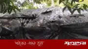 ২০ বছর বিএনপি সভাপতি ছিলেন, এখন পলিথিনের ঘরে নিঃস্ব জীবন