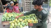 চট্টগ্রামের বাজারে আম্রপালির রাজত্ব, দাম বেড়েছে কেজিতে ৫-৬ টাকা