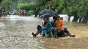 বৃষ্টির সৌন্দর্যে ভাস্বর প্রকৃতি: টগর ফুল থেকে শাপলা, পাখি থেকে পোকা
