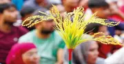 ক্ষমতায় আসার পাঁচ মাস পর সাংগঠনিক পুনর্বিন্যাসে মনোযোগ বিএনপির