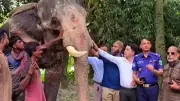 রাজধানীতে বিএনপির বিক্ষোভ সমাবেশে পুলিশের বাধা, আটক ১৫