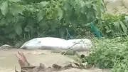 চাঁপাইনবাবগঞ্জে সৌদি প্রবাসীর স্ত্রীর ঝুলন্ত মরদেহ উদ্ধার, তদন্ত শুরু