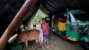 ঢাকায় বাসের ধাক্কায় নিহত ১, আহত ৫