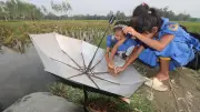 বর্ষায় শিশুদের মাছ ধরার উচ্ছ্বাস: গ্রামীণ জীবনের চিরচেনা দৃশ্য