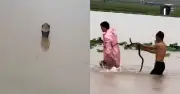 চীনের বন্যায় সাপের আতঙ্ক: ৯০০ সাপ পালিয়ে লোকালয়ে, এক নারীর মৃত্যু