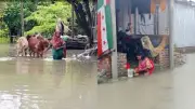 টানা বর্ষণে ভোলায় জলাবদ্ধতা, পানিবন্ধি ২০ হাজার মানুষ