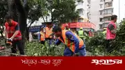 ঘূর্ণিঝড় বাভির তাণ্ডবে পূর্ব চীন বিপর্যস্ত, তাইওয়ানে আহত ১৩৪