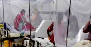 চট্টগ্রামে ডেঙ্গুর প্রকোপ: আট ওয়ার্ড হটস্পট, ৩১৭ রোগী শনাক্ত