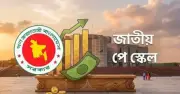 নতুন বেতন কাঠামো বাস্তবায়নে বাধা ডিজিটাল সফটওয়্যার জটিলতা