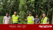 কুড়িগ্রামে গ্রিনহাউসে গাঁজা চাষ, পিতা-পুত্র পলাতক