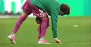 ফিফার নতুন বাণিজ্যিক উদ্যোগ: ২০২৬ বিশ্বকাপ ফাইনালের মাঠের ঘাস বিক্রি