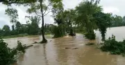 চট্টগ্রামে বন্যায় মৎস্যখাতে ৯১ কোটি টাকার ক্ষতি, পানিবন্দি ৪ লাখ ৩৪ হাজার