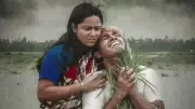 বন্যায় চট্টগ্রামে প্রাণহানি বেড়ে ৫০, ক্ষতিগ্রস্ত ৮০ হাজার বসতবাড়ি