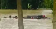 বন্যার পানিতে কলাগাছের ভেলায় ভাসিয়ে লাশ দাফন, সাতকানিয়ায় ঘটনা