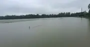 চট্টগ্রাম বিভাগের পাঁচ জেলায় বন্যায় কৃষির ব্যাপক ক্ষতি