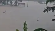 বন্যায় ভেসে গেলো গোখরাসহ ৯০০ সাপ; ইরান যুদ্ধে ১২ বাংলাদেশি নিহত