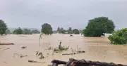 বন্যায় রাঙামাটি-বান্দরবানে চরম দুর্ভোগ, বেনাপোলে পণ্যবোঝাই শেড ডুবে গেছে