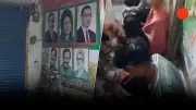 গাজায় ইসরায়েলি বিমান হামলায় নিহত ২০, আহত ৫০