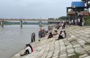বাংলার প্রকৃতির একঝলক: কচুরিপানা থেকে কৃষ্ণচূড়া