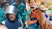 ছাগলকাণ্ড মতিউরের অভিযোগ গঠনের শুনানি শেষ, আদেশ ২১ জুলাই