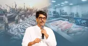 ইলিশকে টুনা ফিশের পরের অবস্থানে নিতে চায় সরকার: কৃষিমন্ত্রী