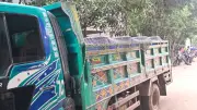 সোনাগাজীতে অস্ত্র ঠেকিয়ে অর্ধকোটি টাকার মাছবোঝাই ট্রাক ছিনতাই, আসামি ধরতে গিয়ে পুলিশসহ ৪ জন কুপিয়ে জখম