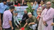 টানা বৃষ্টিতে দেশের বিভিন্ন এলাকায় জলাবদ্ধতা ও দুর্ভোগ