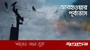 ঢাকাসহ ৬ বিভাগে ভারী বৃষ্টির পূর্বাভাস, তাপমাত্রা কমতে পারে