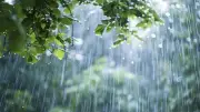 ২৪ ঘণ্টায় ৫ বিভাগে ভারি বৃষ্টির সতর্কতা, বন্যা শঙ্কা ও চিকিৎসক সংকট