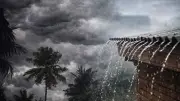 দেশের ৬ বিভাগে ভারী বৃষ্টির শঙ্কা: রূপনগরে অভিযান, ১১০৪ বিদেশি বন্যপ্রাণী উদ্ধার
