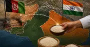 আফগানিস্তানে বাসমতী চালের বাজারে ভারতের নতুন উদ্যোগ