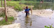 বগুড়ার সারিয়াকান্দিতে পাট চাষে রেকর্ড সম্প্রসারণ, কৃষকের মুখে হাসি