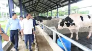 প্রাণিসম্পদ প্রতিমন্ত্রী: দেশী জাতের গবাদিপশু উন্নয়নে কার্যকর পদক্ষেপ নেওয়া হবে