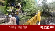মুম্বাইয়ে টানা বৃষ্টিতে ১০ জনের মৃত্যু, রেড অ্যালার্ট জারি