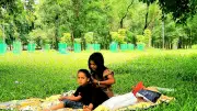 প্রকৃতি ও নগর জীবনের নানা রূপ: ১০ ছবিতে নাগরিক সংবাদ