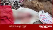 রাজবাড়ীতে ময়লার ভাগাড়ে নবজাতকের লাশ উদ্ধার