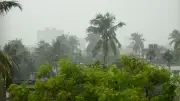 মুক্তিযুদ্ধের চেতনা ধরে রাখতে নতুন প্রজন্মকে ইতিহাস জানাতে হবে: প্রধানমন্ত্রী