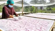 চিকিৎসকদের গ্রামমুখী হওয়ার আহ্বান প্রধানমন্ত্রীর