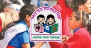 প্রাথমিক বৃত্তি পরীক্ষার ফল রোববার প্রকাশ, জানার উপায়